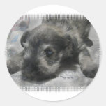 schnauzer-6 round sticker