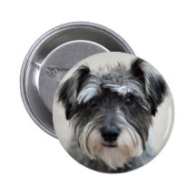 Schnauzer Dog Round Pin
