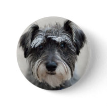 Schnauzer Dog Round Pin