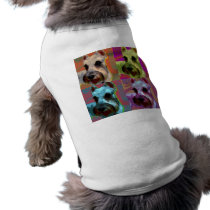 schnauzer