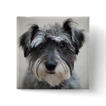 Schnauzer Dog Square Pin