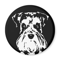 Schnauzer Gifts - Magnet
