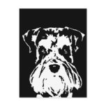 Schnauzer Gifts - Postcard
