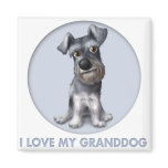 Schnauzer Granddog magnets