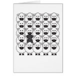 Schnauzer in the Sheep Greeting Cards