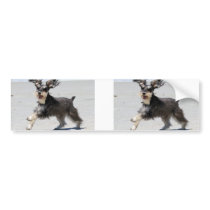 Schnauzer - Jr is a Happy Boy! Bumper Sticker