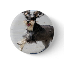 Schnauzer - Jr is a Happy Boy! Buttons