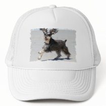 Schnauzer - Jr is a Happy Boy! Hat