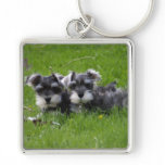 Schnauzer Keychain