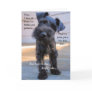 Schnauzer Mother's Day Greeting Card