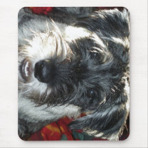 Schnauzer Mouse Pad