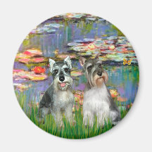 Schnauzer Pair 2 - LIlies 2 Refrigerator Magnet