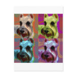 schnauzer