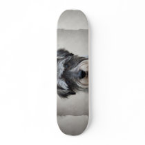 Schnauzer Skateboard