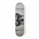 Schnauzer Skateboard