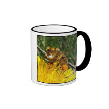 Schnauzerbee mug