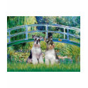 Schnauzers (two-nat) - Bridge t-shirts