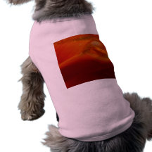 schneewitchen hundeshirt