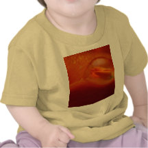 schneewitchen T-Shirts