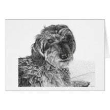 Schnell - Blank Greetings Card