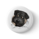 Schnoodle (Black) Busting Out buttons