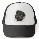Schnoodle (Black) Busting Out hats