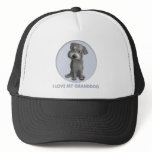 Schnoodle (Grey) Granddog hats