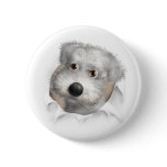 Schnoodle (White) Busting Out buttons