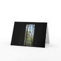 School house window cards