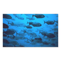 School of Jack Fishes. Rectangular Stickers