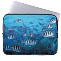 School of Striped Fish Laptop Sleeve laptop sleeves