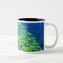 School of swimming bluelined snappers mug