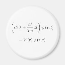 Schrodinger wave equation fridge magnet