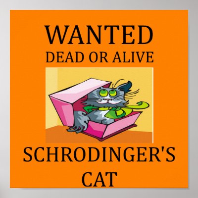 schrodinger`s cat joke Poster