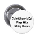 Schrodinger's Cat Plays With String Theory Button