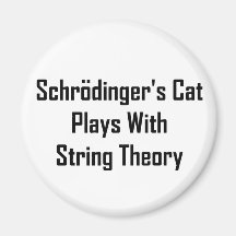 Schrodinger's Cat Plays With String Theory Magnet