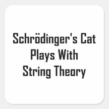 Schrodinger's Cat Plays With String Theory Square Sticker