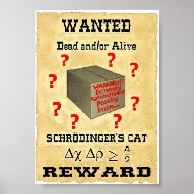 Schrodinger's Cat Wanted Poster by Trouble2K8
