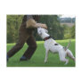 Schutzhund American Bulldog Postcard