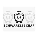 schwarzes schaf postcards