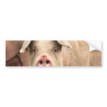 Schwein gehabt autosticker