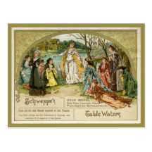 Schweppes Table Waters Postcard