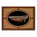Science - Entomology - The specimin cards