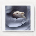 Science Mousepads