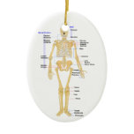 Science Teacher Christmas Ornament