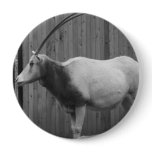 Scimitar-Horned Oryx buttons
