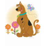 Scooby Doo Following Butterfly1 t-shirts