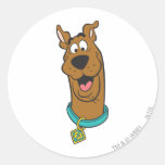 Scooby Doo Pose 14 Round Stickers