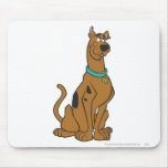 Scooby Doo Pose 27 mousepads