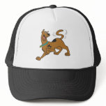 Scooby Doo Pose 41 hats